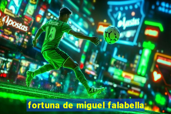 fortuna de miguel falabella